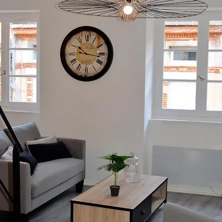 Appartement L'hotel Particulier D'albi *