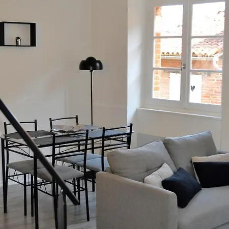 Apartment L'hotel Particulier D'albi Albi