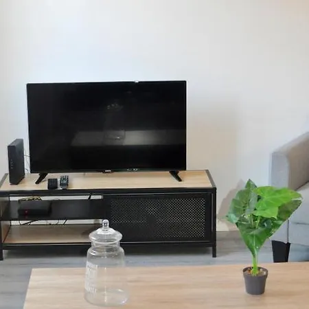 Appartement L'hotel Particulier D'albi