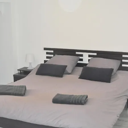 L'hotel Particulier D'albi Appartement *