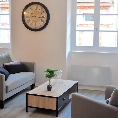 L'hotel Particulier D'albi Appartement Albi