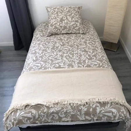L'hotel Particulier D'albi Appartement *