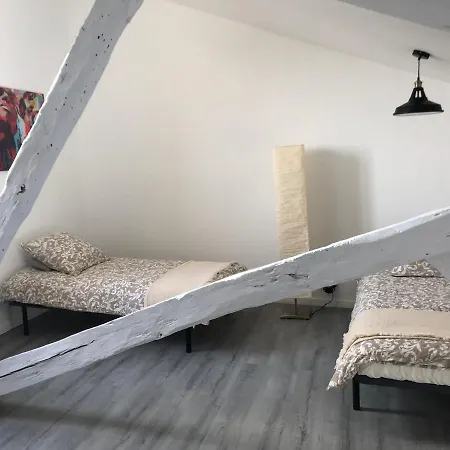 Appartement L'hotel Particulier D'albi