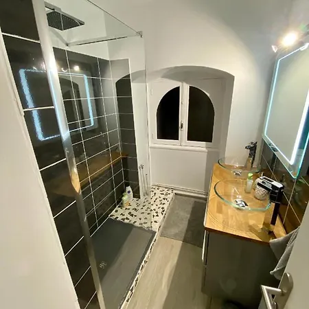 Appartement L'hotel Particulier D'albi *