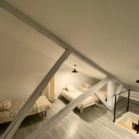 Apartment L'hotel Particulier D'albi Albi